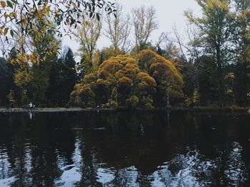 Reflection of trees in lake