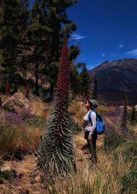 Side view of woman with backpack standing by echium wildpretii at teide national park