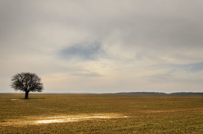 Scenic view of landscape against cloudy sky