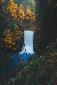 Scenic view of waterfall in forest during autumn