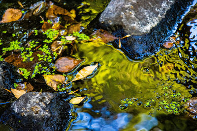 High angle view of water