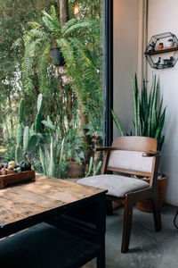 Potted plants on table at home