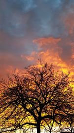 Low angle view of silhouette bare tree against dramatic sky