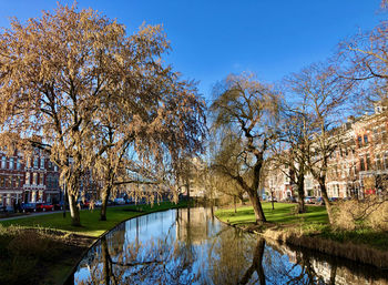 Trees by lake in city against clear sky