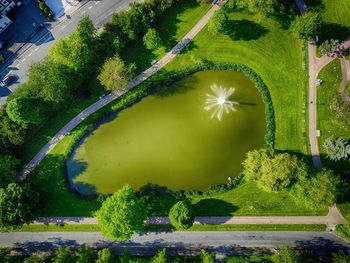 High angle view of tree by road in city