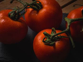 Bunch of red tomatoes on a table with drops of cool water