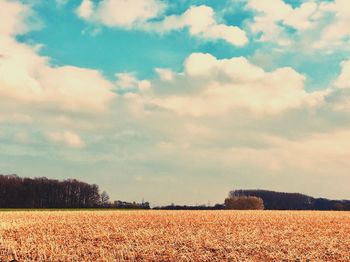 Scenic view of field against sky