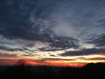 Silhouette of trees at sunset