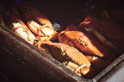 Close-up of meat on barbecue grill