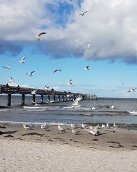 Seagulls flying over beach against sky