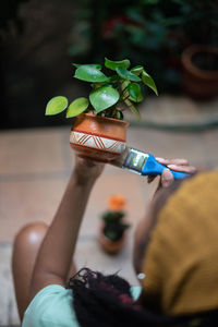 Midsection of woman holding potted plant