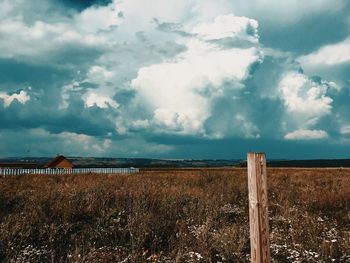 Scenic view of agricultural field against sky