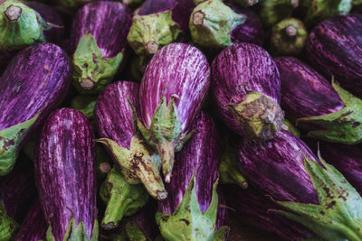 Purple egglpant full frame shot