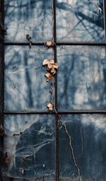 Close-up of rusty metal on wall