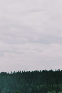 Scenic view of forest against cloudy sky
