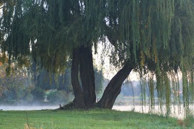 Scenic view of lake