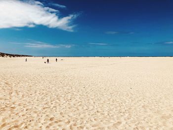 Scenic view of beach against blue sky