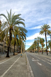 Palm trees by road in city against sky