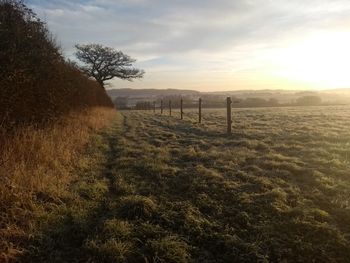 Scenic view of field against sky during sunset