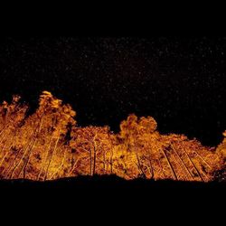 Scenic view of landscape at night