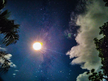 Low angle view of trees against bright sun