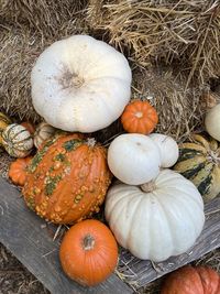 High angle view of pumpkins on field