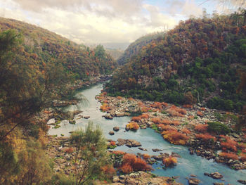 River amidst trees against sky