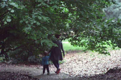 Rear view of boys walking on tree