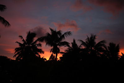 Low angle view of silhouette palm trees against romantic sky