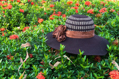 Rear view of person wearing hat on field