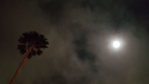 Low angle view of trees against sky