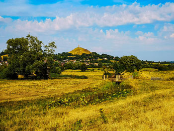 Scenic view of field against sky