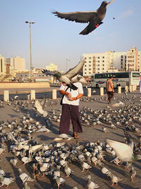 Full length of man flying bird against buildings in city