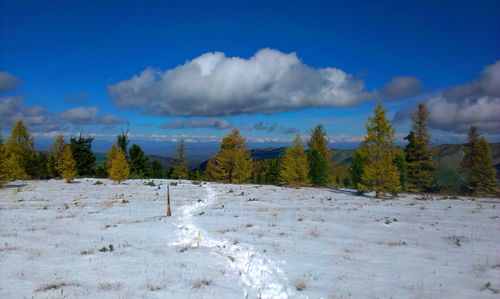 Scenic view of snow covered land against sky