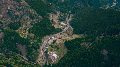 Aerial view of road amidst trees