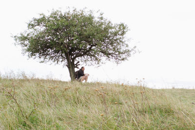 Tree on field against clear sky