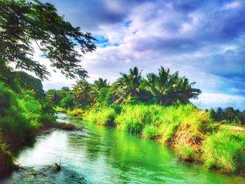 Scenic view of river against sky