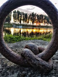 Close-up of horse in lake
