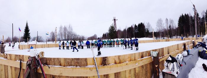 View of trees against sky