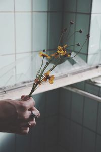 Close-up of hand holding flowers