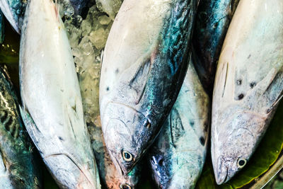 Full frame shot of fish for sale at market