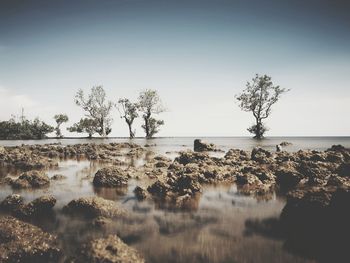 Scenic view of lake against sky