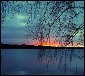 Bare trees against cloudy sky at sunset