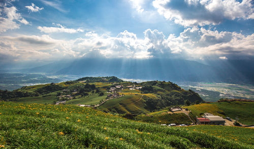 Scenic view of agricultural field against sky
