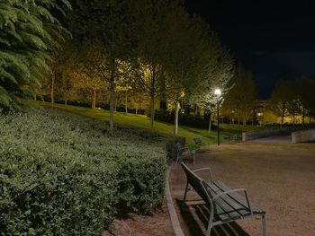 View of empty park bench at night