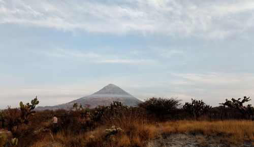 Scenic view of landscape against sky