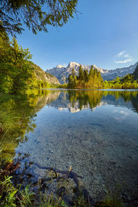 Scenic view of lake by trees against sky