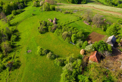 High angle view of trees on field