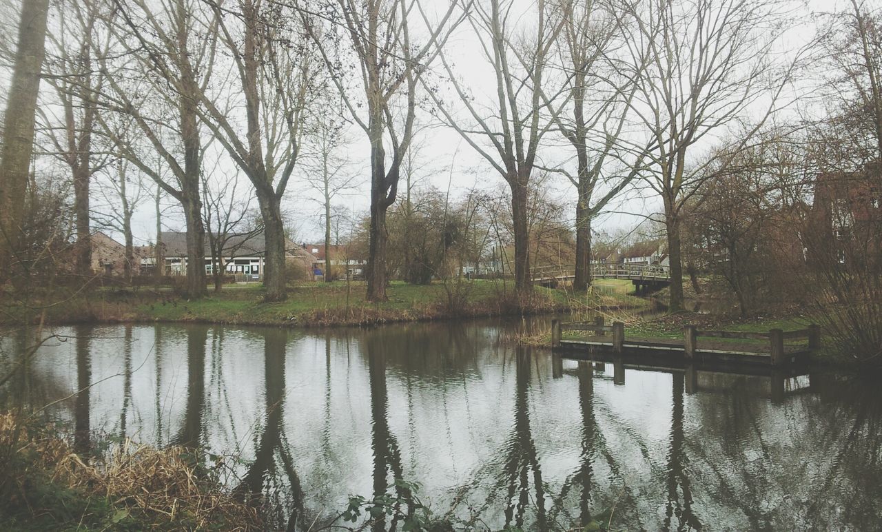 reflection, tree, water, nature, tranquility, growth, built structure, outdoors, no people, tranquil scene, beauty in nature, day, sky, architecture