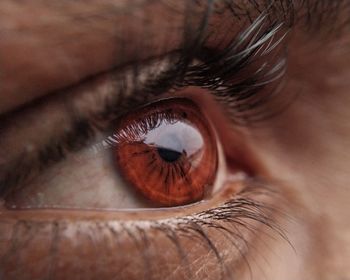 Extreme close-up of man human eye